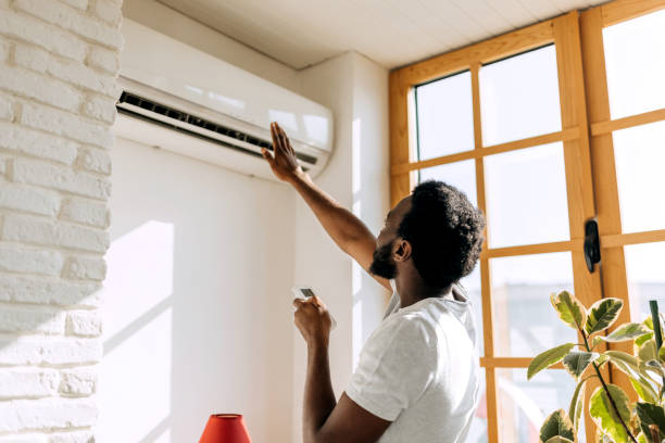 Best HVAC tune-up services  in Sterling Heights, MI